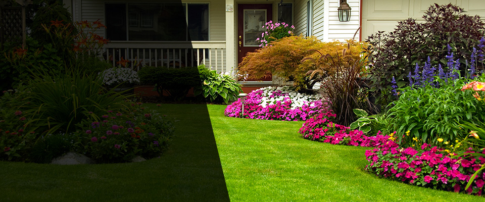 Salina Landscapers