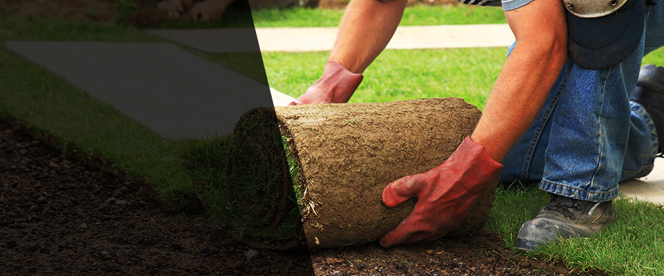 Salina Landscapers